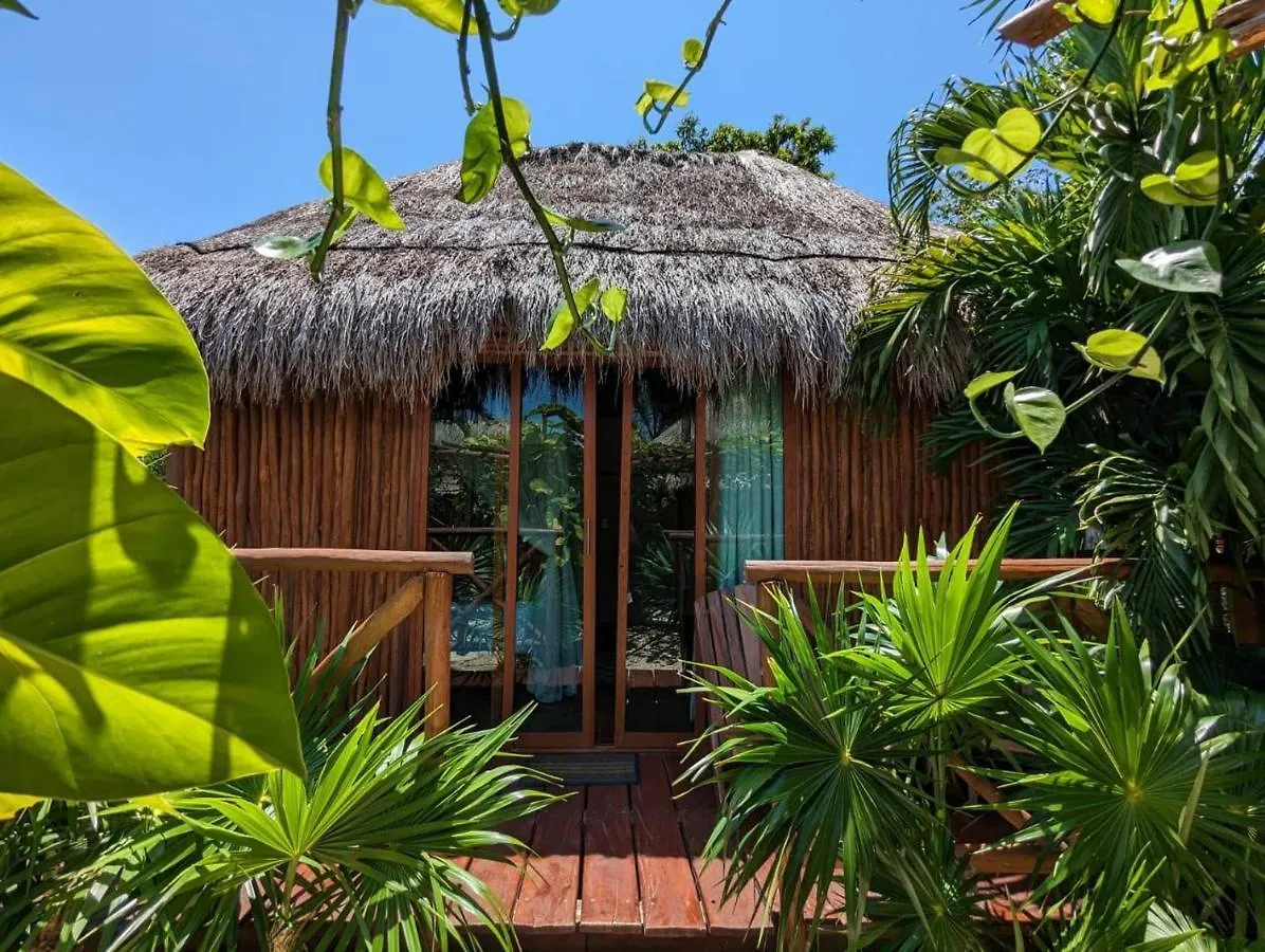 Stunning 6 Private Villas & Ph Wifi Ac Pool Gym 멕시코