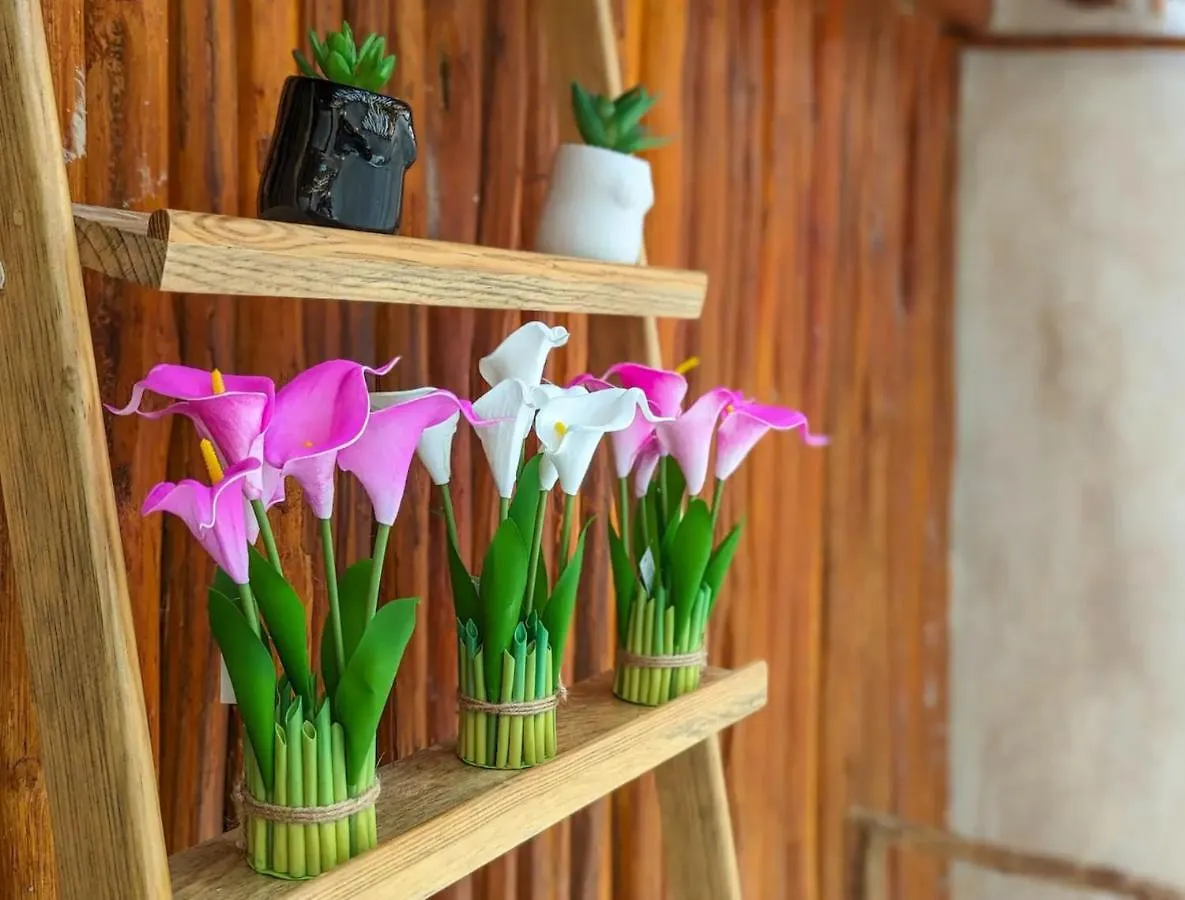 Stunning 6 Private Villas & Ph Wifi Ac Pool Gym 호텔 툴룸