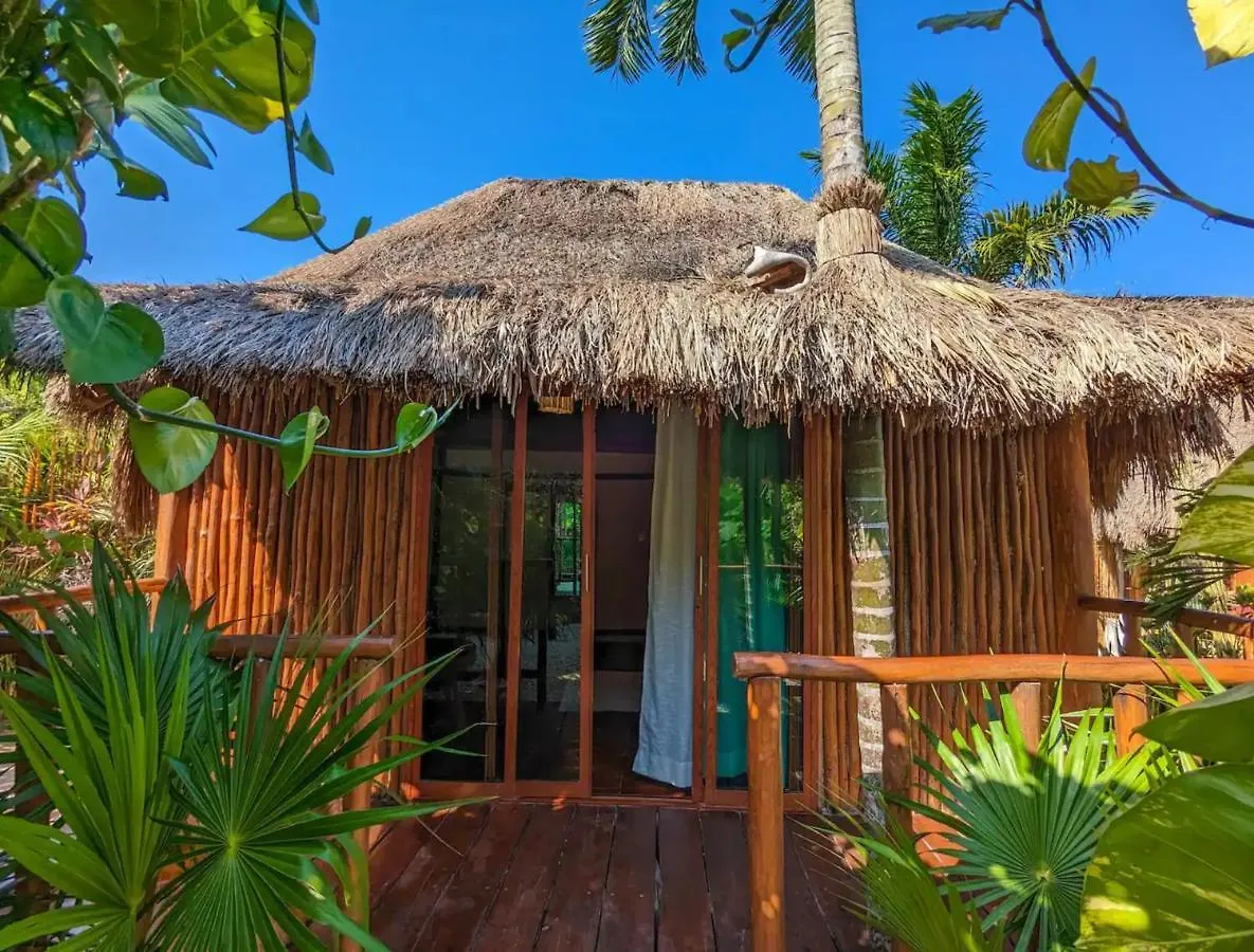Stunning 6 Private Villas & Ph Wifi Ac Pool Gym Tulum